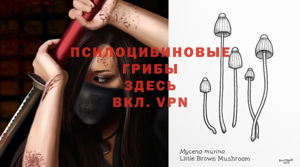синтетический гашиш Осинники