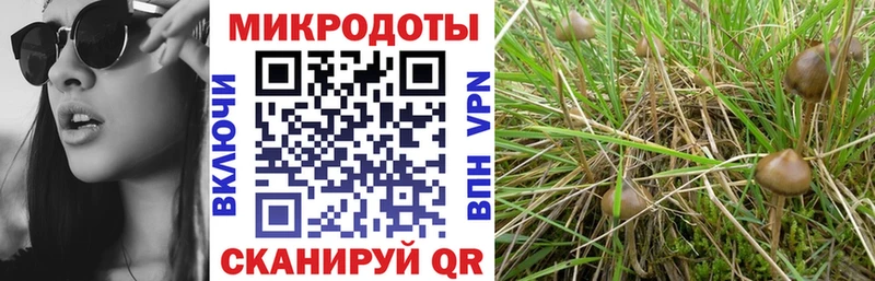 Галлюциногенные грибы ЛСД  Урюпинск 